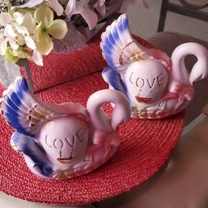 Pair of love Swans❤️